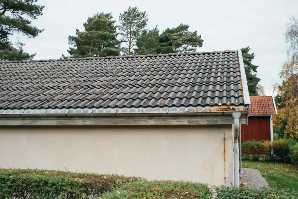 september p taket smarta tg rder nu som minskar risken f r h stfukt och vinterproblem